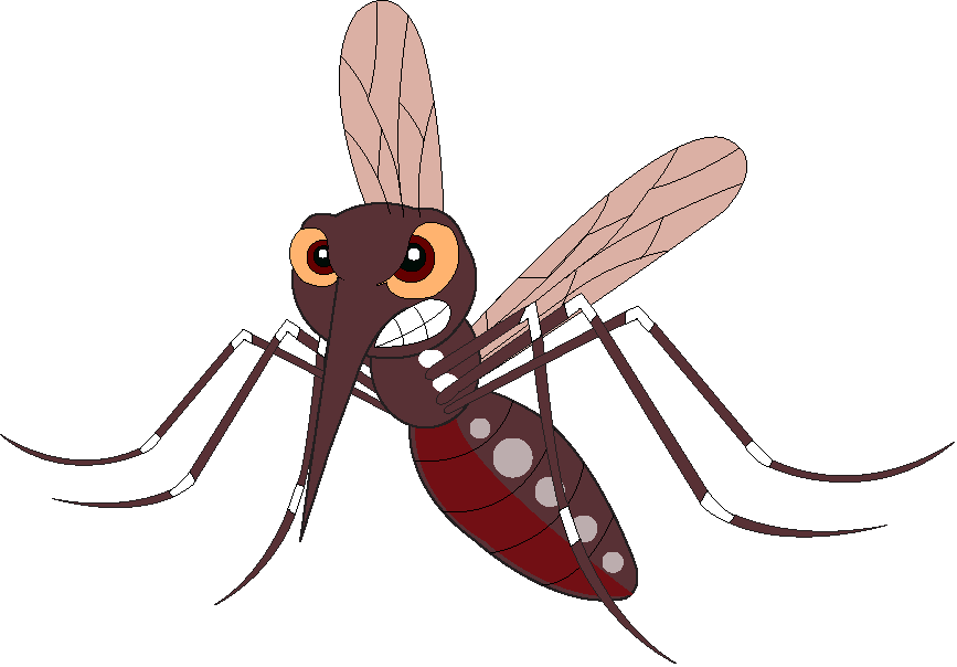 mosquito