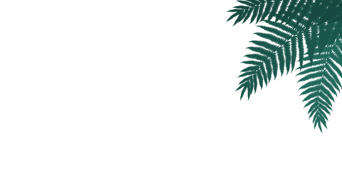 Large decorative fern leaf in the foreground