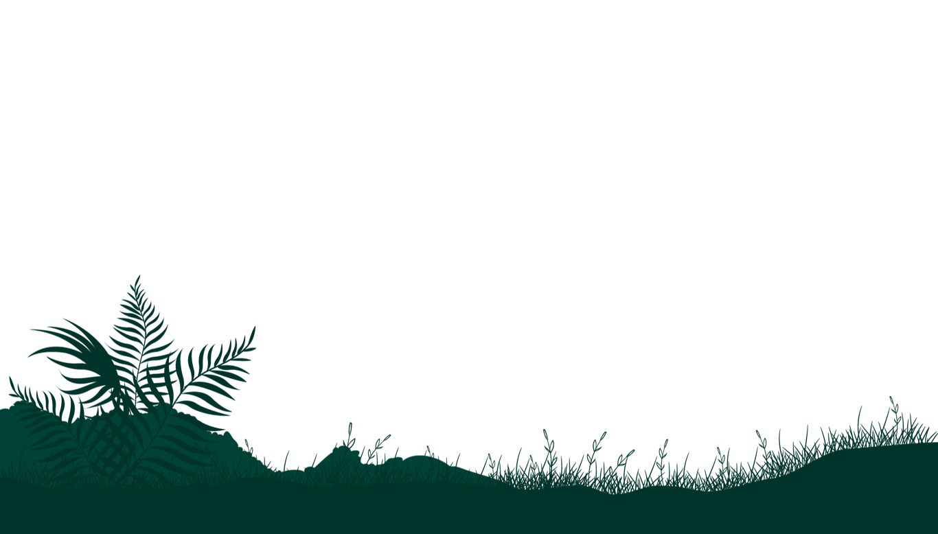 Ground-level fern and plant silhouettes