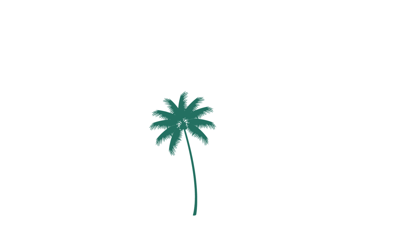 Single palm tree silhouette